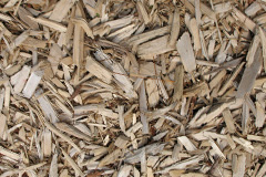 biomass boilers Trevail